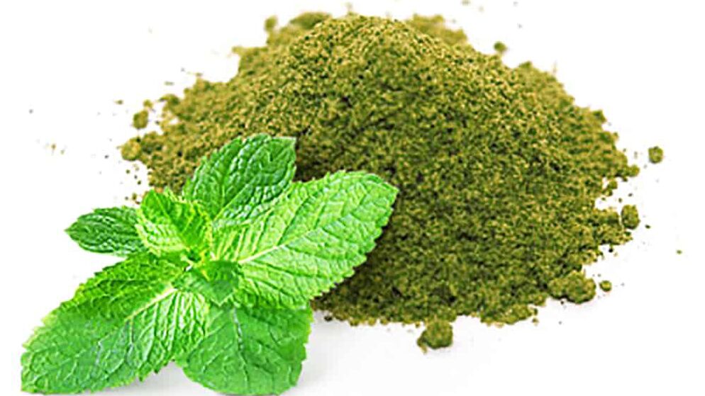 Indian Nettle as part of Keto Black